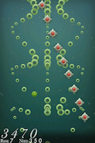 Eat Will Grow Screen Shot 2